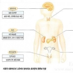 미리보기 이미지