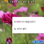 미리보기 이미지