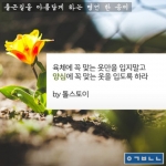 미리보기 이미지