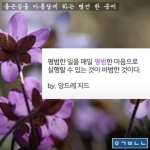 미리보기 이미지