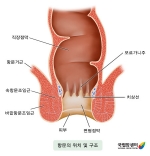 미리보기 이미지