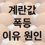 미리보기 이미지